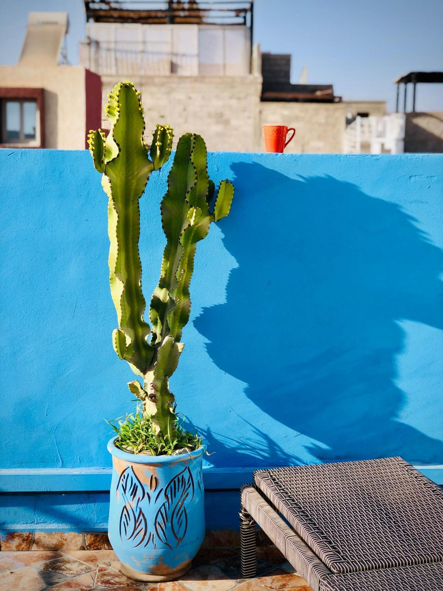 Moroccan Surf Journey Tamraght エクステリア 写真